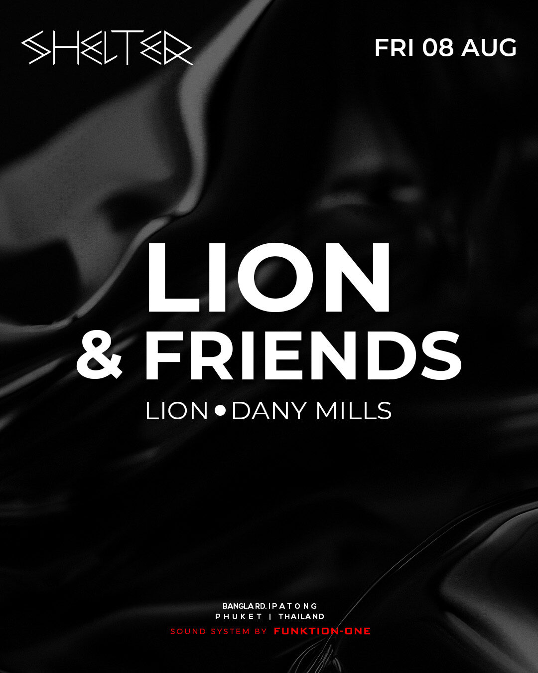 2025 08 08 Lion Friends IG FEED