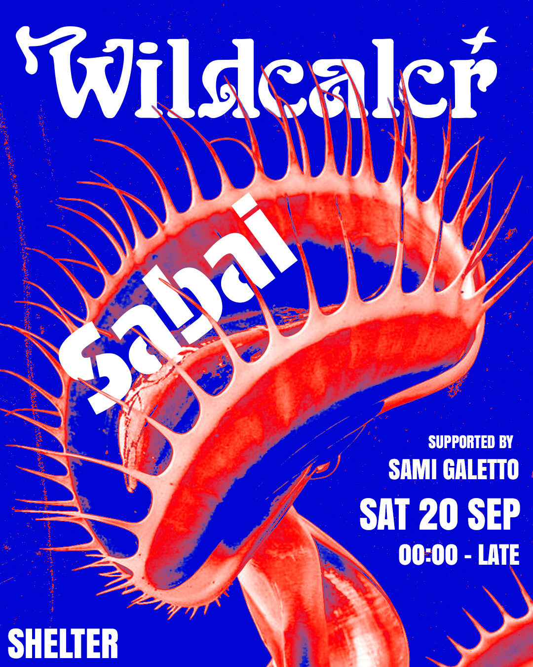 2025 09 20 SABAI WILDEALER IG FEED