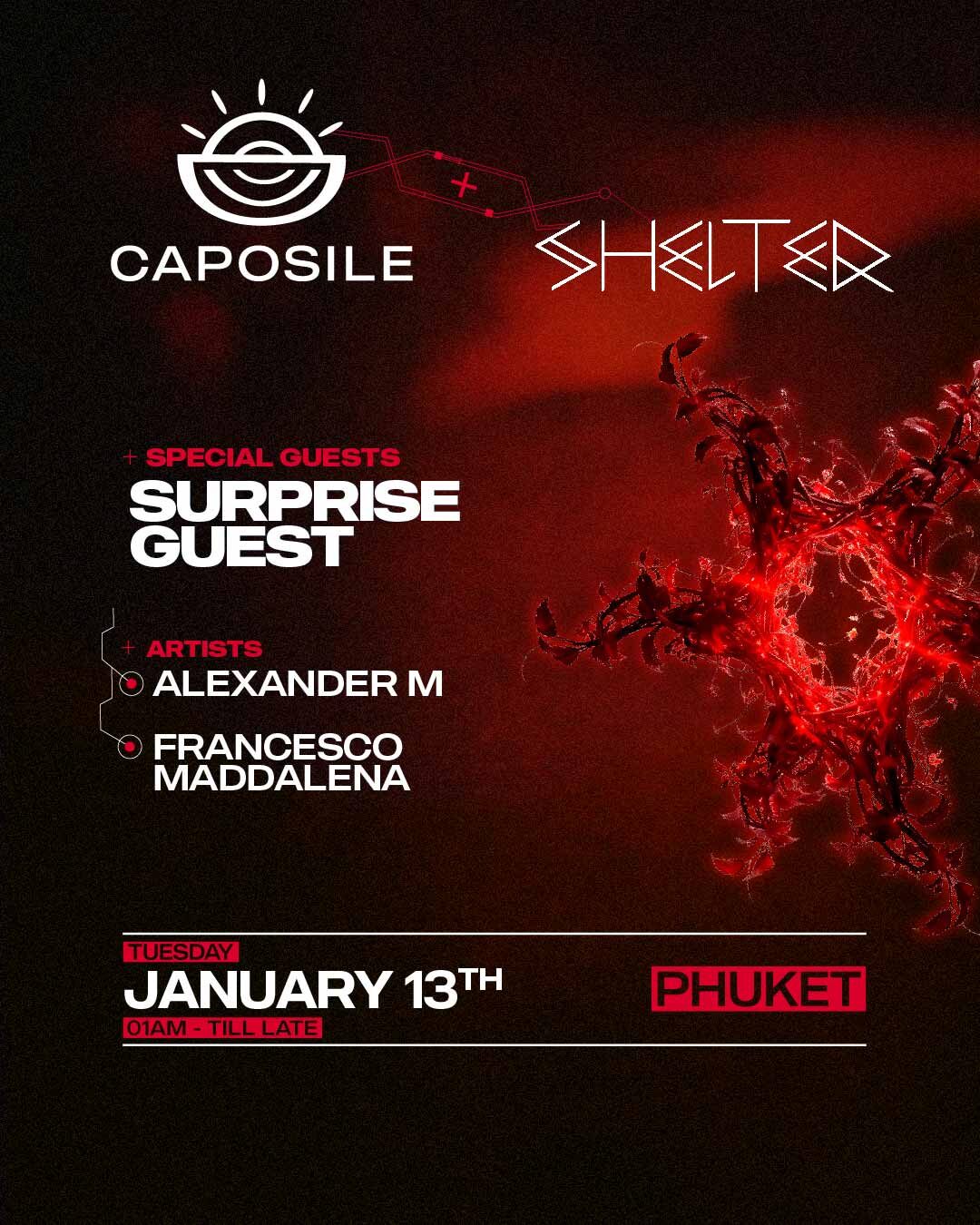 2026 01 13 AFTER CAPOSILE SHELTER IG FEED SMALL SIZE