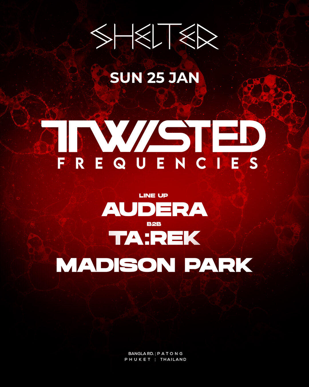 2026 01 25 Twisted Frequencies IG FEED 1