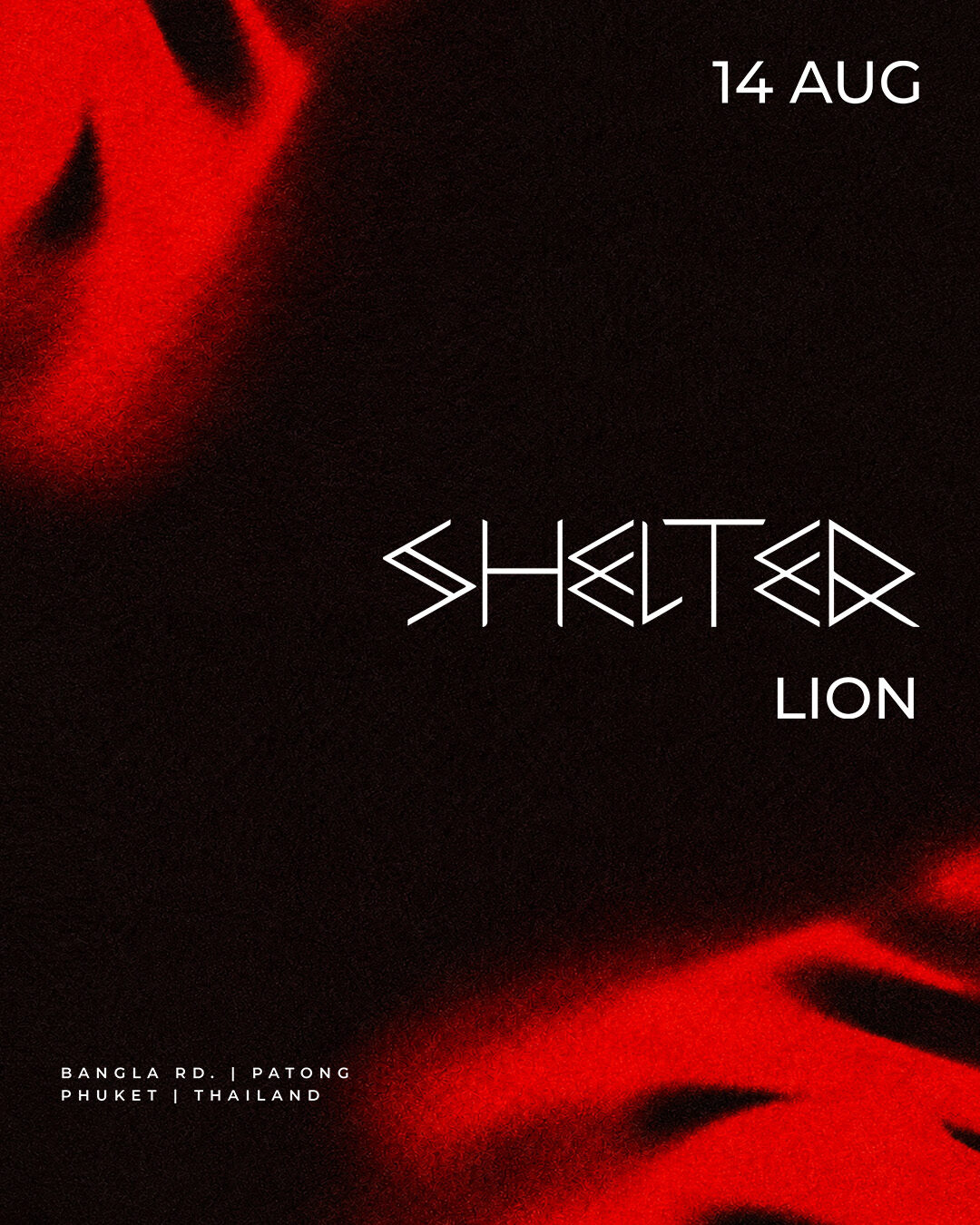 2026 08 14 LION IG FEED